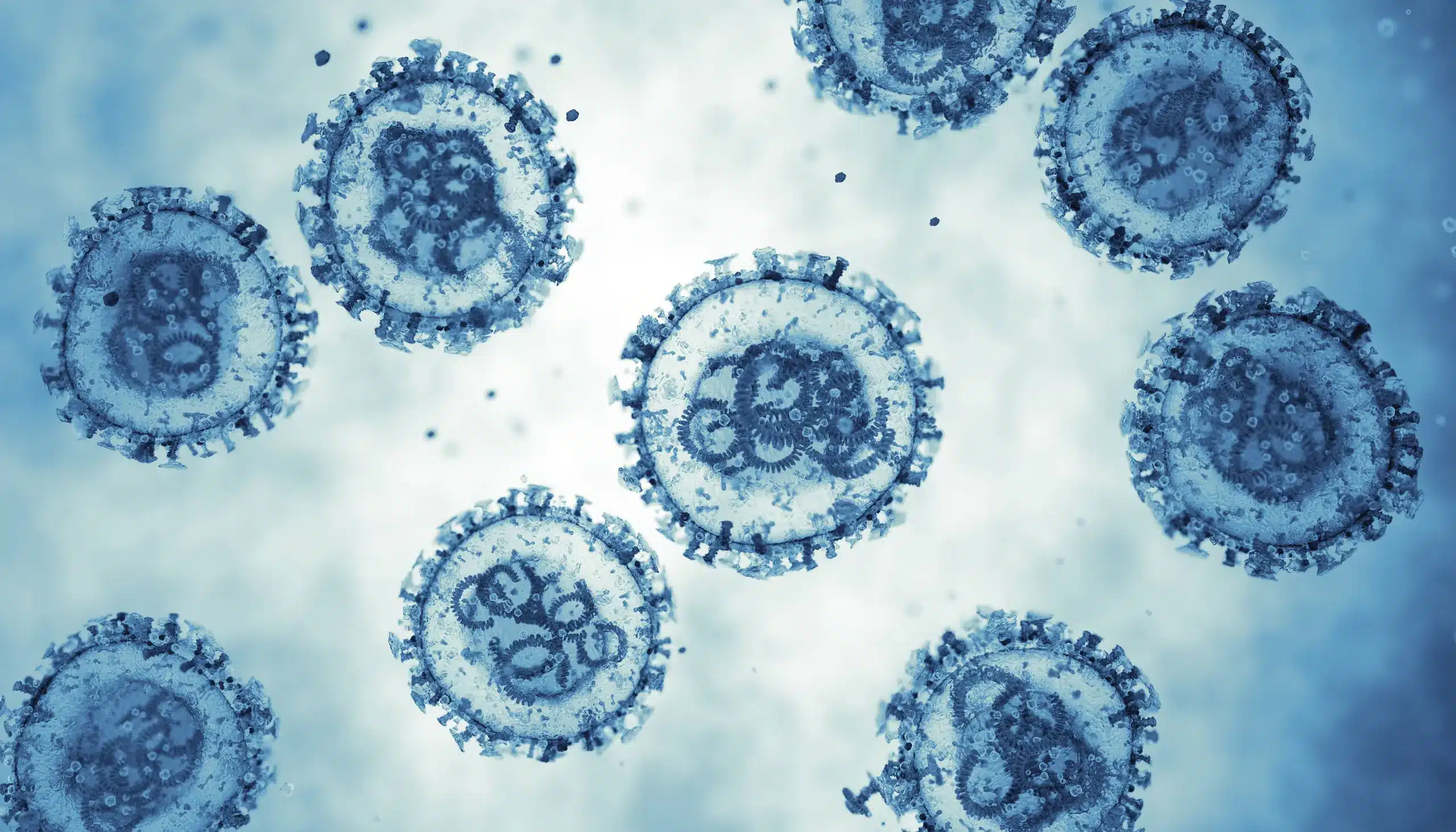OMS, report Hantavirus: 11 casi (8 confermati) e 3 morti sulla Mv Hondius