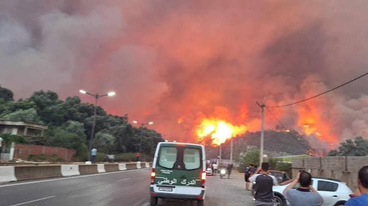 Algeria, incendi boschivi devastanti: almeno 69 vittime e numerosi feriti
